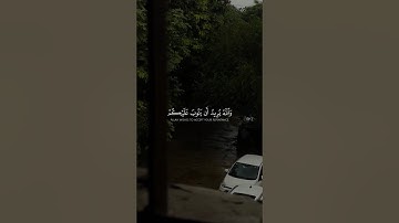(والله يريد ان يتوب عليكم) - سورة النساء : الاية 27 | القارئ: محمد اللحيدان