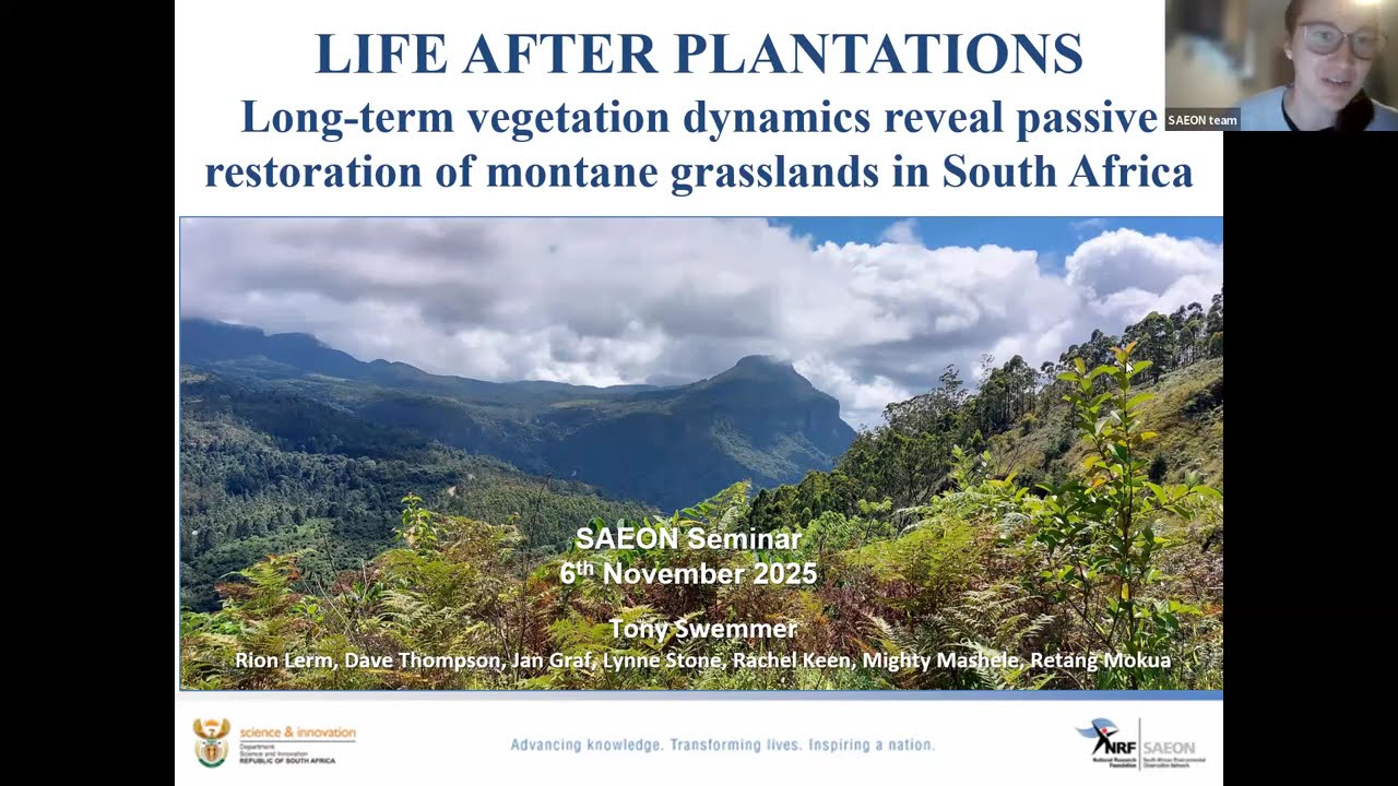 What Happens When Forestry Goes? Lessons from Mariepskop (SAEON Seminar, Nov 2025)