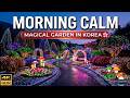 Garden of Morning Calm Winter Lights & Flowers | Best Day Trip from Seoul