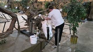 Recycled Foam Used with Expanding Foam for Large Sculptures