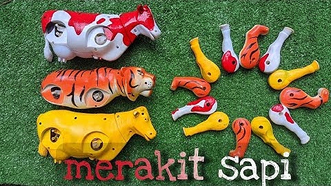MENEMUKAN SAPI DAN MERAKIT SAPI MAINAN, SAPI LUCU, SAPI MOO, SAPI KARTUN, SAPI BELANG