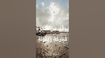 قرآن كريم بصوت الشيخ حسن صالح .. دقيقه من سورة النور