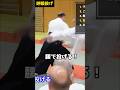 【塩田剛三の弟子】手足を動かすな！腰で投げろ #ジャックパイエ #合気道 #aikido #martialarts #martialart