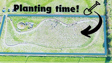 Tiny Reforestation Project in New Zealand - Planting Day!