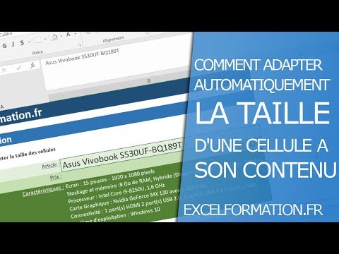 comment-ajuster-automatiquement-la-taille-d'une-cellule-en-fonction-de-son-contenu