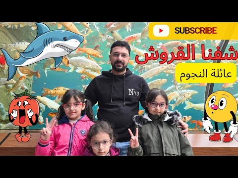 مدينة الاسماك شفنا سمك القرش تابعو الفيديو للاخر عائلةالنجوم