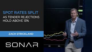 Spot Rates Split as Tender Rejections Hold Above 13%