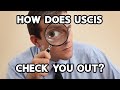 How Does USCIS Check You Out