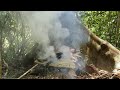 Surviving Overnight at the Root of a Strange Tree, Single Wilderness, Free Life, Episode 35
