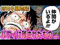 【ワンピース当時の反応】マリンフォード決戦後の荒れ狂うルフィを見た"当時の読者＆視聴者"の反応集