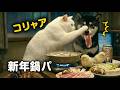 みんなで新年鍋パ #cat