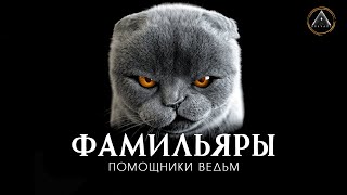 ФАМИЛЬЯРЫ. Помощники ведьм. Кто такие фамильяры, откуда берутся, как помогают ведьмам. by ВНАЧАЛЕ 66,460 views 10 months ago 12 minutes, 8 seconds