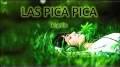 Video for El Pica Mix