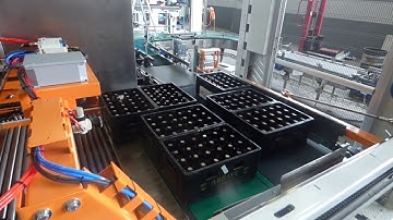 IC Filling Systems - Crate Palletiser