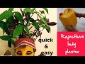 DIY-Rajasthani traditional gajban lady planter#oil can planter#best from waste#homemade planter