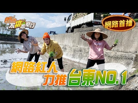 《不推怎麼行第35集》莎莎+愚婦團 台東在地推薦第一名！高CP古早味早餐 冠軍伴手禮 農村插秧初體驗