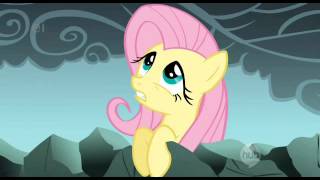 Fluttershy Dragon Rant and Audition