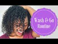 My 2016 Updated Wash n Go Routine | Natural Hair | MissT1806