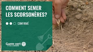 [TUTO] Comment semer les scorsonères - Jardinerie Gamm vert