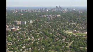 NetZero Means $$$ Urban Tree-planting Mania