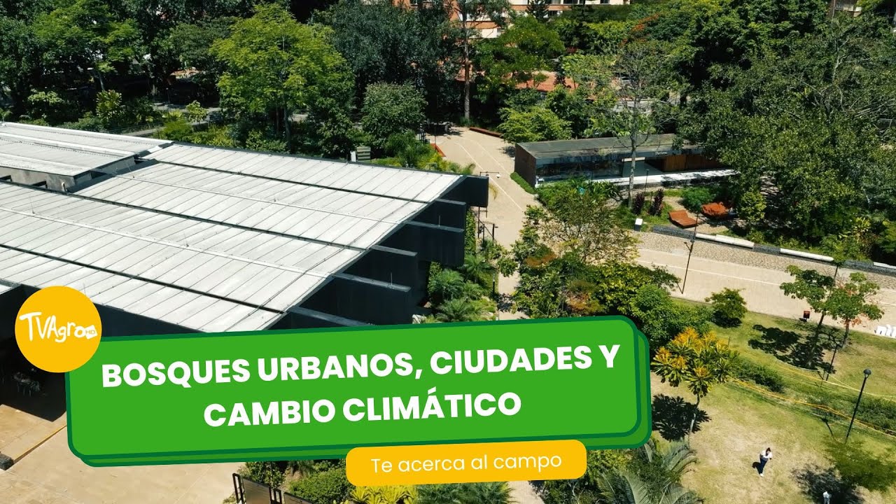 Bosques urbanos, ciudades y cambio climático- TvAgro por Juan Gonzalo Angel Restrepo