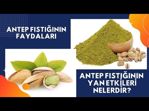 Video: Antep Fıstığının Yararları Ve Zararları