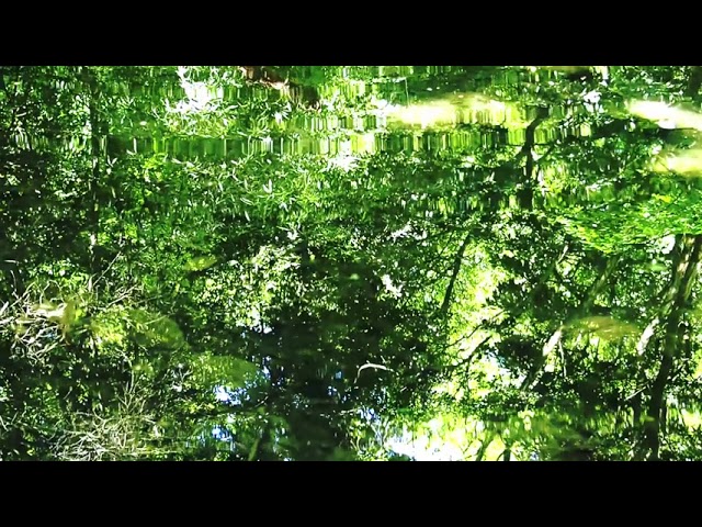 Watch My Love is a Band Boy - Irish air on the cello on YouTube Watch My Love is a Band Boy - Irish air on the cello on YouTube