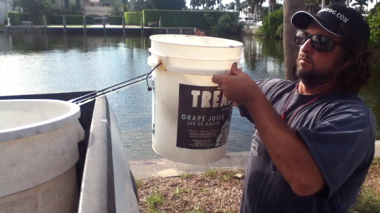 Best Fishing Live Bait Bucket System! Pilchard and Mullet YouTube