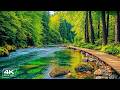 Piano Music helps Reduce Stress & Deep Relaxation 🌿 Music That Heals the Heart & Blood Vessels