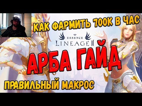 ГАЙД по Арбе БЕЗ доната Lineage 2 Essence