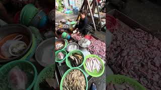 Cambodia Fish Market