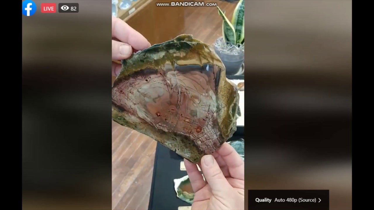 Live @ 5! (5.14.2020 - Morrisonite)