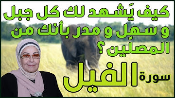 كيف يشهد كل ركن من أركان الأرض أنك من المصلين (سورة الفيل )
