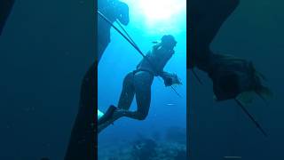 I should have listened! Spearfishing fail.