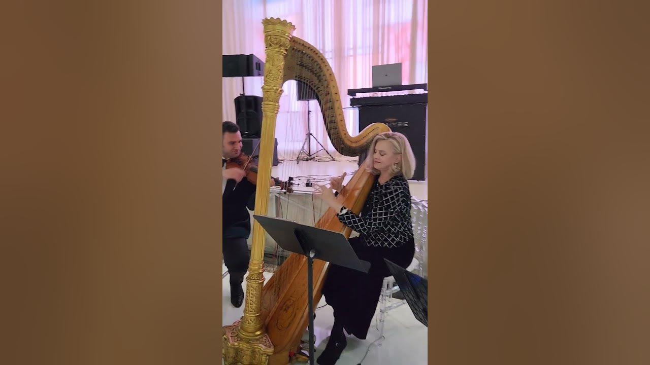 Hallelujah (Leonard Cohen) - Enchanted Strings - Harp Trio in Los Angeles #violin #wedding