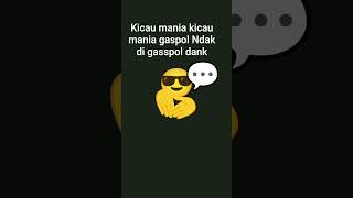 kicau mania maaf jarang ha itu da banyak tugas sekolah la #funny