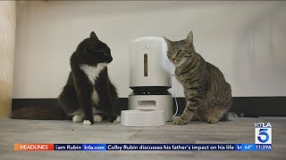 HighTech Cat Accessories Make Pet Care Easier