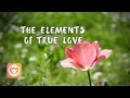 The Elements of True Love | Sister Peace