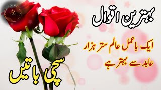 Auliya Allah Ke Qqwal |  ایک باعمل عالم ستر ہزار عابد سے بہتر ہے | aqwalezareenwithsohail