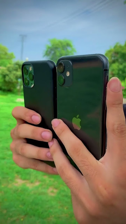iPhone 11 Vs IPhone 11 Pro Comparison🔥📸🙃🖤Camera Test🎥📲☑️#cameraman #informativevideo