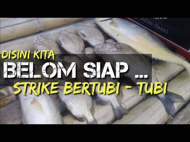 BAGAN KAMAL BANG YUDI // STRIKE BERTUBI - TUBI class=