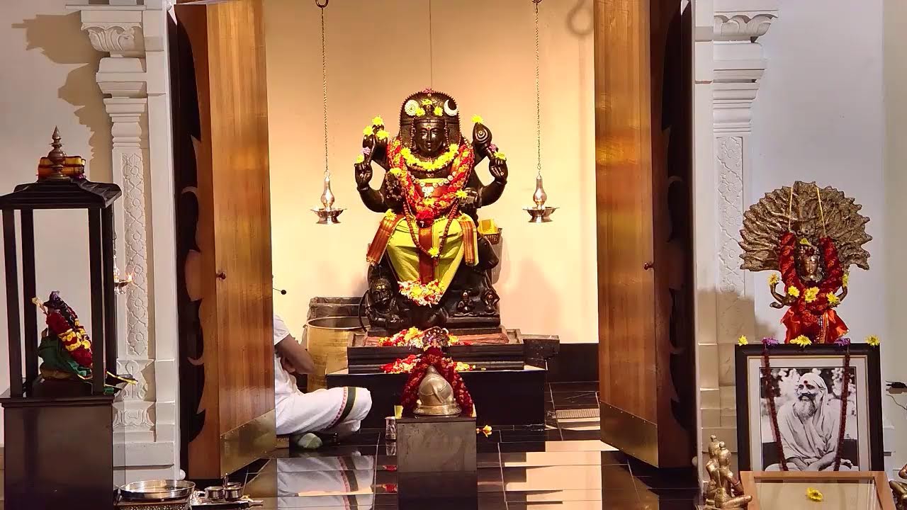 Arsha Vidya Pitham Live