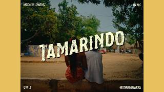 Motherflowers - Tamarindo Visualizer