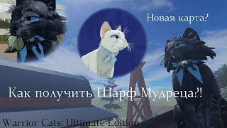 КАК ПОЛУЧИТЬ ШАРФ МУДРЕЦА НА НОВОЙ КАРТЕ? Warrior Cats: Ultimate Edition || Lingering Rain ||