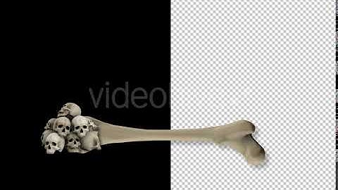 Bones and Skulls Lower Third | Motion Graphics - Envato elements
