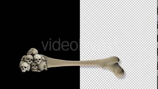 Bones and Skulls Lower Third | Motion Graphics - Envato elements