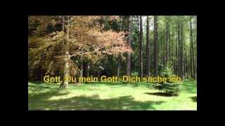 Gott, Du mein Gott.