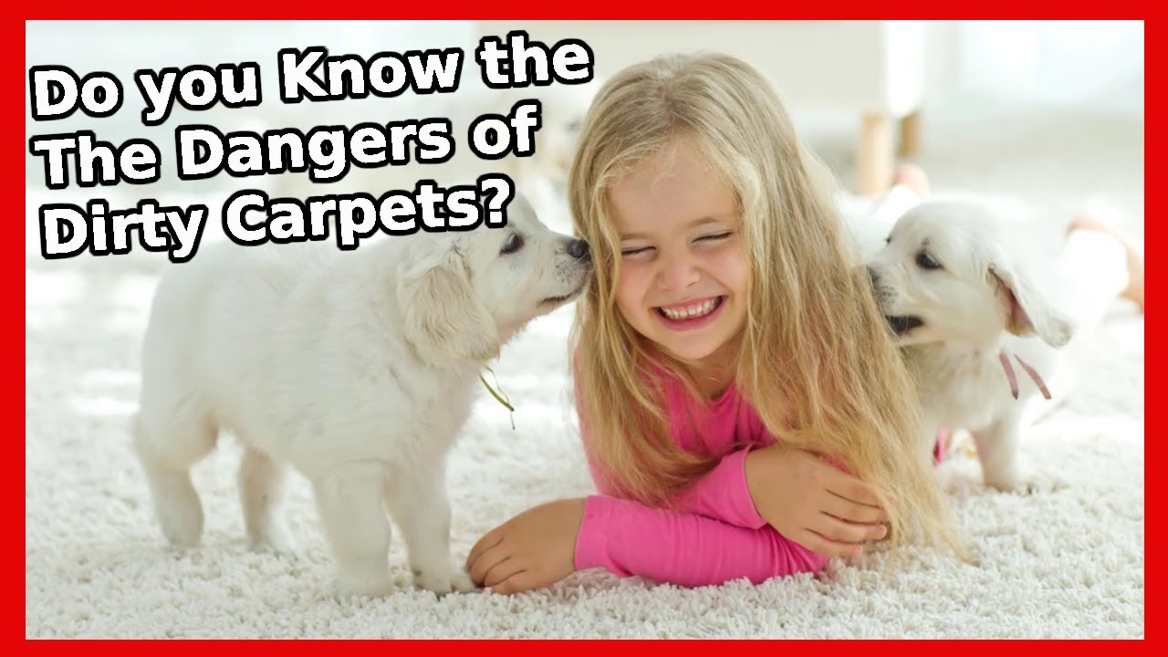 Carpet Cleaning North Hollywood, CA 8186397482 YouTube