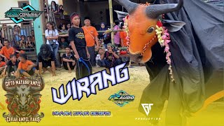WIRANG BANTENGAN‼️CIPTO MAYANG AMPEL BY WSD PROJECT