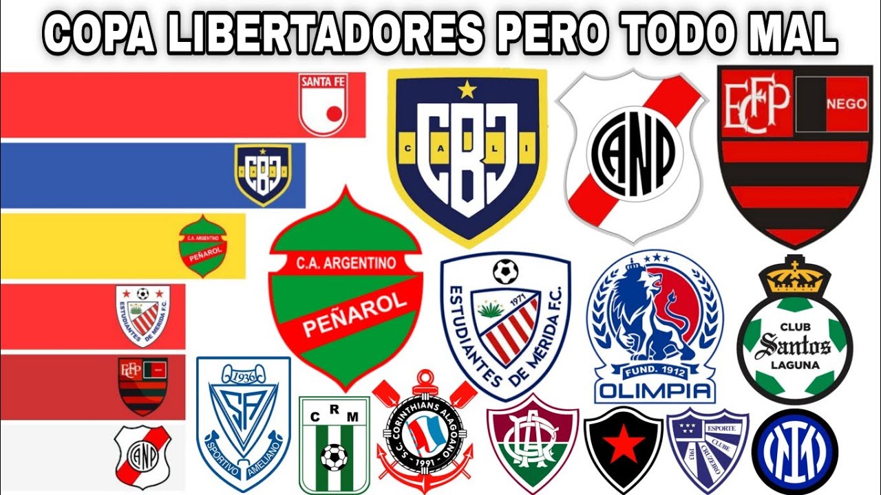 CAMPEONES DE LA LIBERTADORES PERO ALGO ESTÁ MAL 🤔